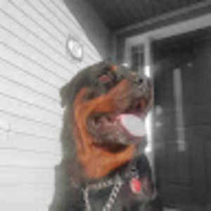 Meet your Posher, Jimmy